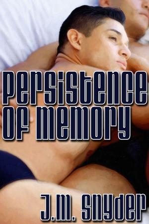 Cover of the book Persistence of Memory by Shawn Lane