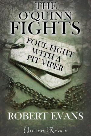Book cover of Foul Fight with a Pit Viper