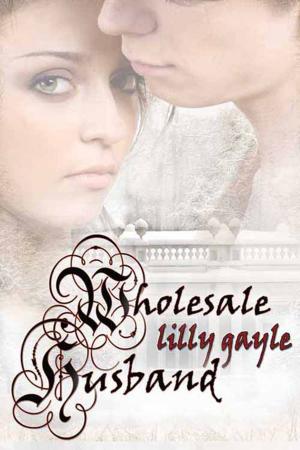 Cover of the book Wholesale Husband by Heather  McCollum