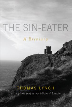 bigCover of the book The Sin-Eater by 