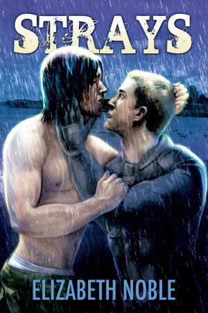 Cover of the book Strays by M.J. O'Shea