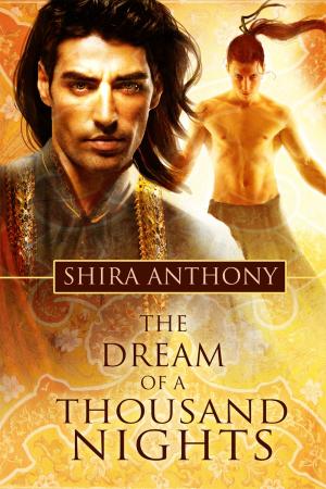 bigCover of the book The Dream of a Thousand Nights by 