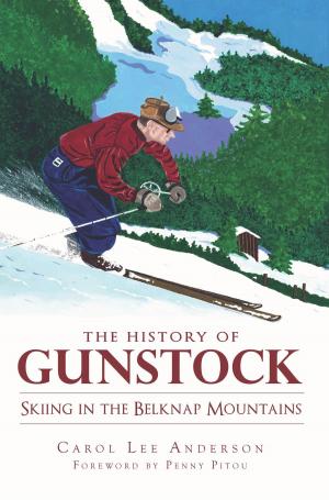 Book cover of The History of Gunstock: Skiing the Belknap Mountains