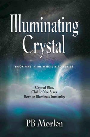Cover of the book Illuminating Crystal - Book One in the White Bird Series by Laura Oneale