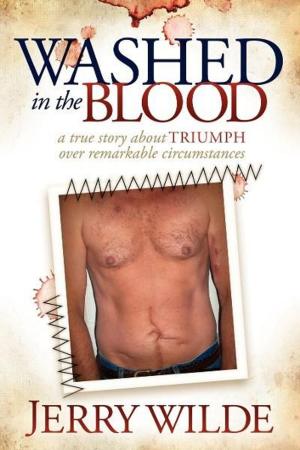 Cover of the book Washed in the Blood by Laura Anthony