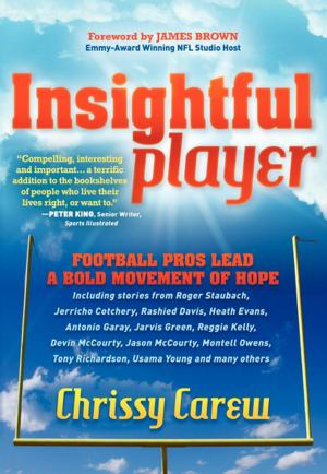 Cover of the book Insightful Player by Robert Michael Hicks