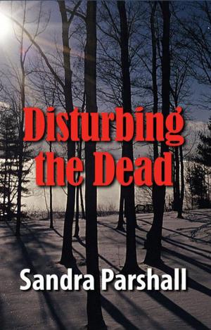 Cover of the book Disturbing the Dead by Randall Silvis