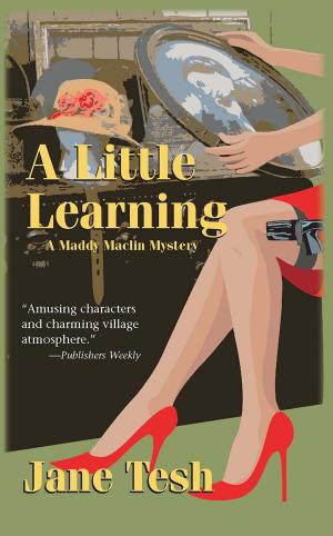 Cover of the book A Little Learning by Samantha Chase
