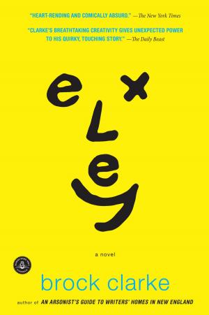 Cover of the book Exley by Amy Stewart