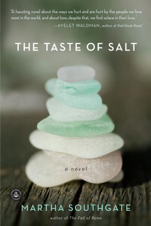 Cover of the book The Taste of Salt by Robert Goolrick