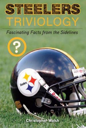 Cover of the book Steelers Triviology by Rod Bramblett