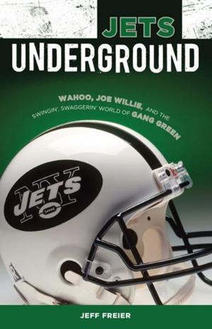 Cover of the book Jets Underground by Rick Schaeffer