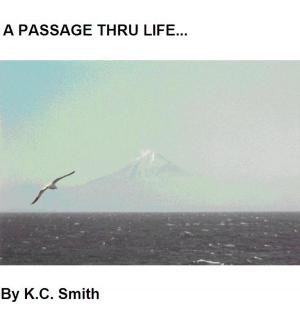 Cover of the book A Passage Thru Life by Dave Cherry