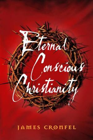 Cover of the book Eternal Conscious Christianity by Carol Adams
