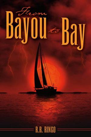 Book cover of From Bayou to Bay