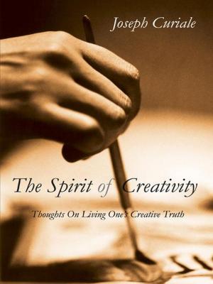 Cover of the book The Spirit of Creativity by Kerry Cudmore