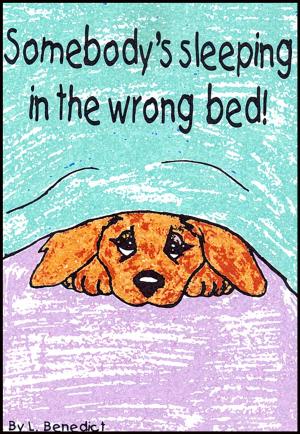 Cover of the book Somebody's Sleeping in the Wrong Bed by Jeffrey Birch