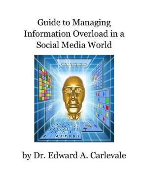 Cover of the book Guide to Managing Information Overload in a Social Media World by Tafforest D. Brewer