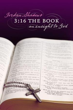 Cover of the book 3:16 The Book by K. Black