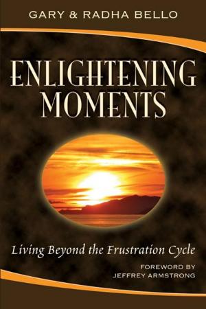 Cover of the book Enlightening Moments by J. R. Maddux