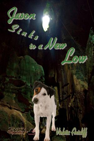 Cover of the book Jason Sinks to a New Low by Lee-Ann Graff Vinson