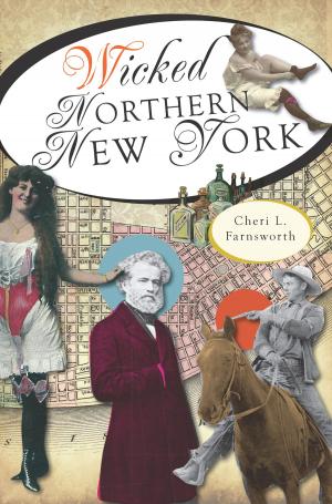 Cover of the book Wicked Northern New York by Cindy Amrhein