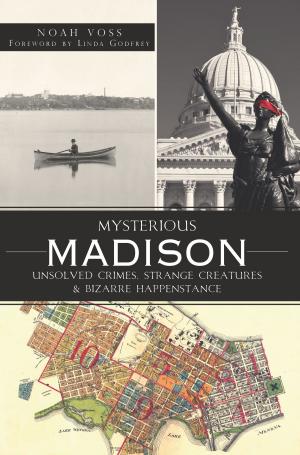 Cover of the book Mysterious Madison by Marie Anne Erickson