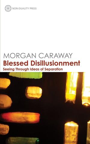 Cover of the book Blessed Disillusionment by Scott Kiloby