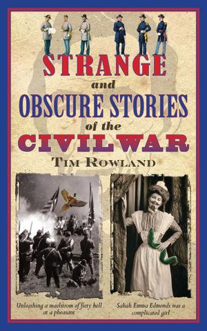 Book cover of Strange and Obscure Stories of the Civil War