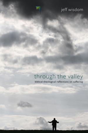 Cover of the book Through the Valley by John C. Morgan, Richard Lyon Morgan
