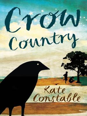 bigCover of the book Crow Country by 