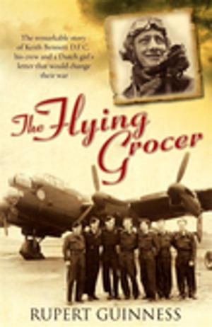 Cover of the book The Flying Grocer by Will Davies