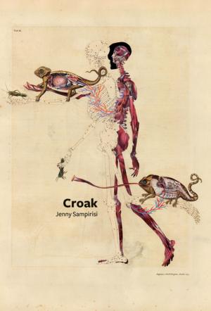 Cover of the book Croak by Ken Babstock