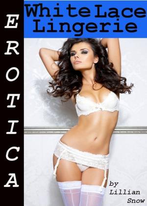 Book cover of Erotica: White Lace Lingerie, Tales of Sex