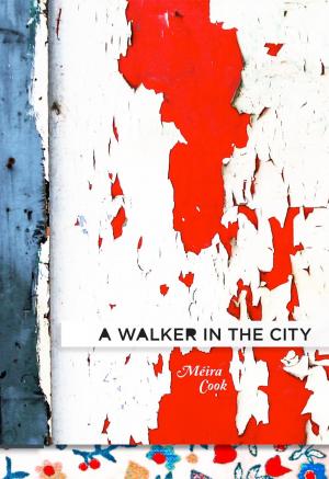 Cover of the book A Walker in the City by Adam Dickinson