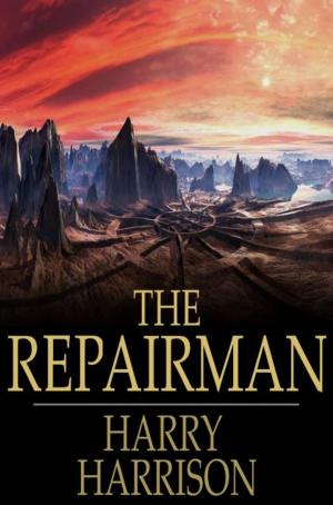 Book cover of The Repairman