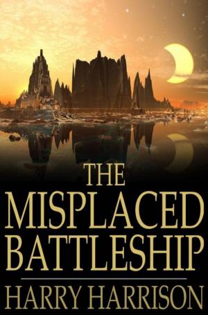 Cover of the book The Misplaced Battleship by Eve Newton