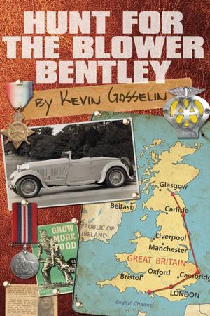 Cover of the book Hunt For The Blower Bentley by Shaida Mehrban