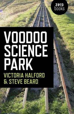 Cover of the book Voodoo Science Park by David I. Aboulafia
