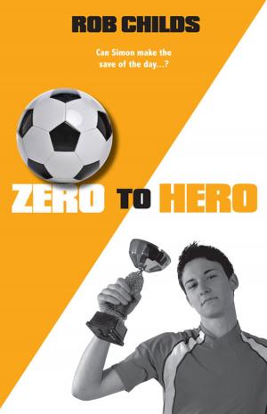 Cover of the book Zero to Hero by Cristy Burne
