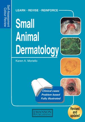 bigCover of the book Small Animal Dermatology by 