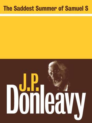 Cover of the book The Saddest Summer of Samuel S by J.P. Donleavy