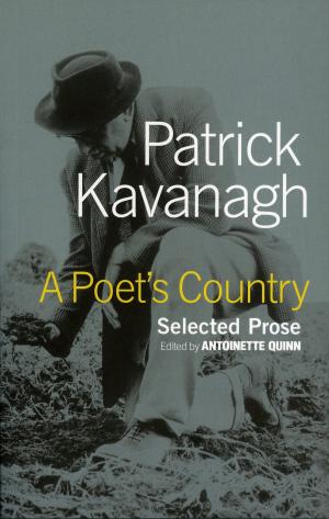Cover of the book A Poet's Country by Bart Verschaffel