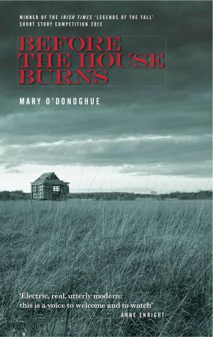 Cover of the book Before the House Burns by Padraic O'Farrell