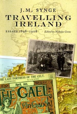Cover of the book Travelling Ireland by J.P. Donleavy