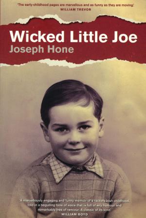 Book cover of Wicked Little Joe