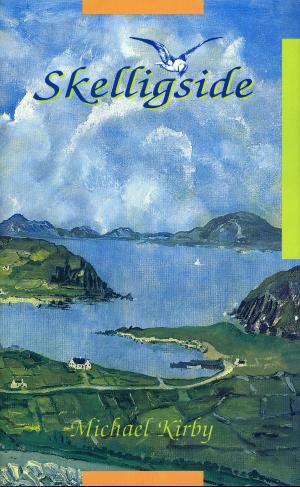 Book cover of Skelligside