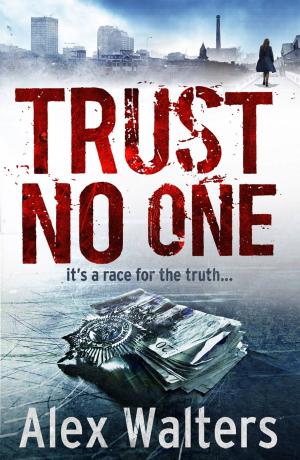 Cover of the book Trust No One by Fiona Gibson