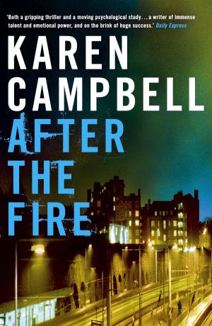 bigCover of the book After the Fire by 
