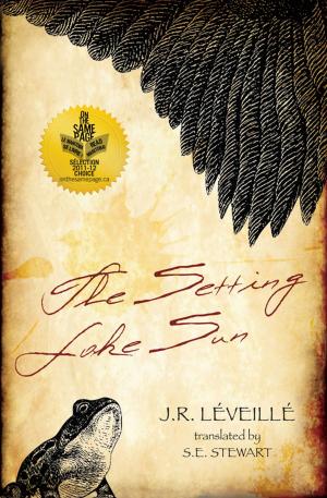 Cover of the book Setting Lake Sun, The by John McFetridge, Scott Albert